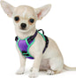 Eagloo Small Dog Harness No Pull, Service Vest with Reflective Strips and Control Handle, Adjustable and Comfortable for Walking, No Choke Pet Harness with 2 Metal Rings, Purple & Green, XS