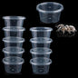 10 Pcs Spider Terrariums Breeding Box Small Round Hatching Container Acrylic Feeding Box for Spider Scorpion Centipede Insect