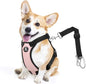 Dog Seat Belt, Safety Vest Dog Car Harness with Adjustable Buckle Dog Seat Belt for Vehicle Nylon Pet Safety Seat Belts Heavy Duty(M, Pink)