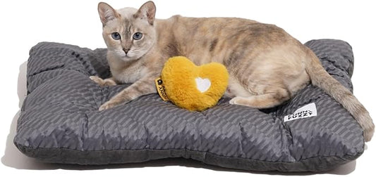 FUNNY FUZZY 24x18 Washable Dog Bed Reversible Crate Mat, 2 in1 Orthopedic Puppy Bed for Small Dogs/Cats, Fluffy Deluxe Kennel Mattress,Sleeping Pad,Charcoal Grey,S