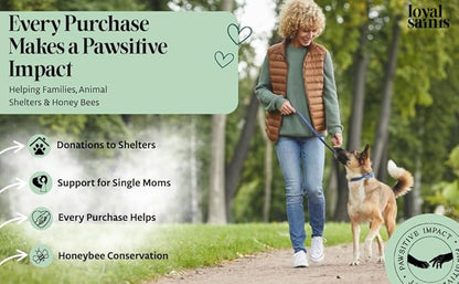 Freeze Dried Raw Dog Food - Premium Beef Flavor with High Protein and Grain Free Dog Food for Small or Large Breeds and Picky Eaters - Versatile as Meal Topper, Snack, and Treats, 5 Oz