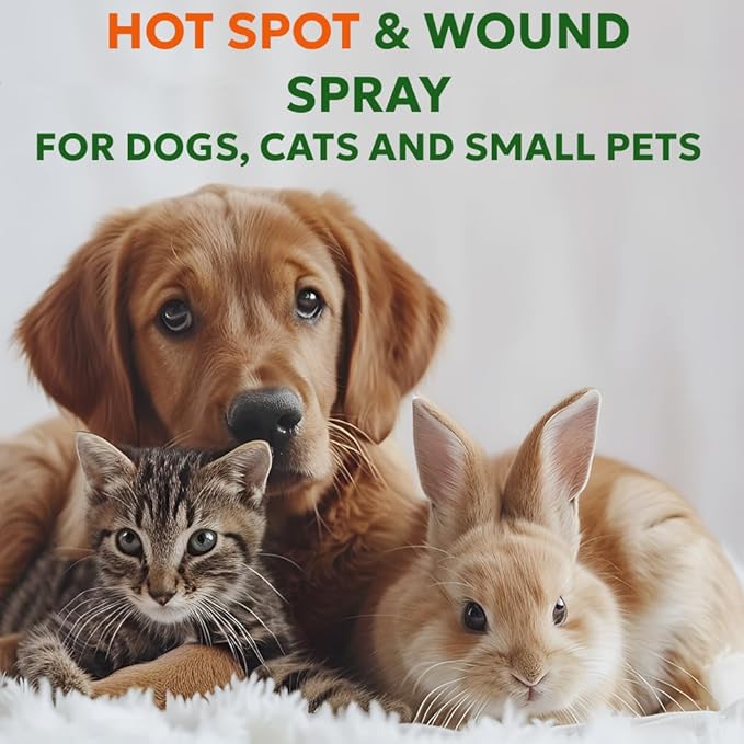 Forticept Hot Spot Spray for Dogs Cats & Horses, Itch Relief Wound Cleanser with Aloe Vera, 8 oz