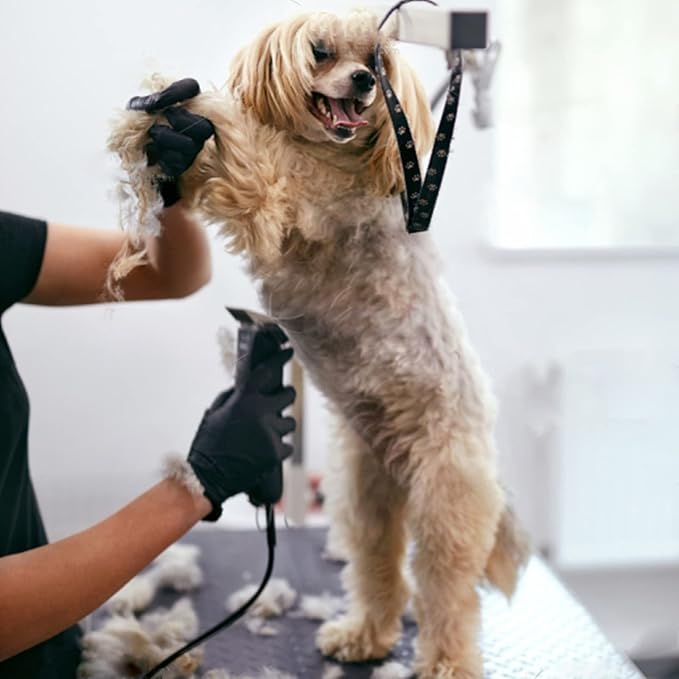 2PC 5FC Blade Dog Grooming Clipper Replacement Blades Compatible with Andis Dog Clippers,Detachable Ceramic Blade & Stainless Steel Blade,Size-5 FC 1/4-Inch Cut Length (64122)