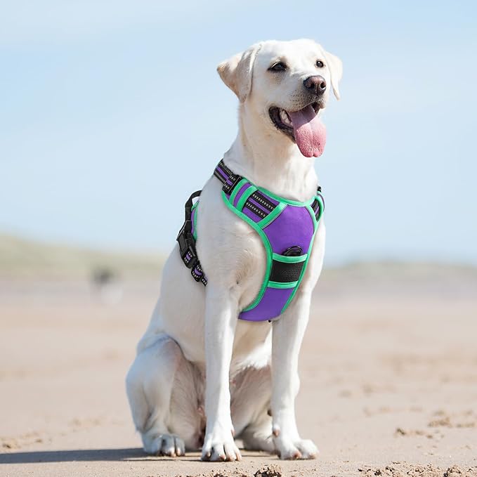 Eagloo Dog Harness for Large Dogs, No Pull Service Vest with Reflective Strips and Control Handle, Adjustable and Comfortable for Walking, No Choke Pet Harness with 2 Metal Rings, Purple & Green, L