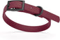 Dogline Biothane Waterproof Dog Collar Strong Coated Nylon Webbing with Black Hardware Odor- Proof for Easy Care Easy to Clean High Performance Fits Small Medium or Large Dogs, Merlot Burgundy