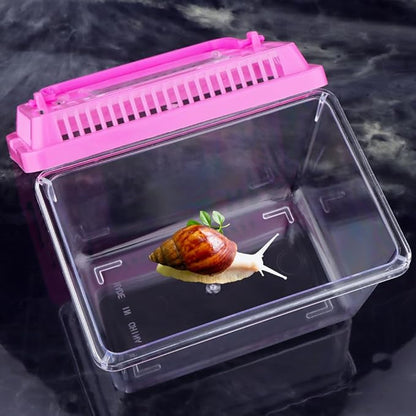 20 Pack Small Plastic Reptile Carrier Tarantula Enclosure Snake Breeding Box Hatching Container for Spider Fish Turtle Hermit Crab Bearded Dragon Lizard (5.1 x 3.5 x 3.5 Inch)