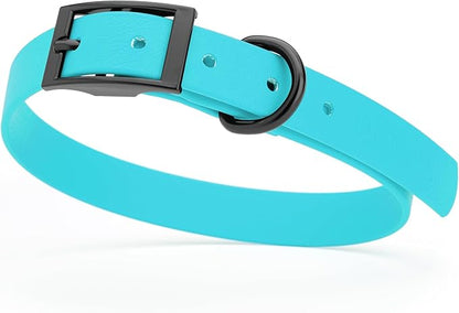 Dogline Biothane Waterproof Dog Collar Strong Coated Nylon Webbing with Black Hardware Odor- Proof for Easy Care Easy to Clean High Performance Fits Small Medium or Large Dogs, Sky Blue