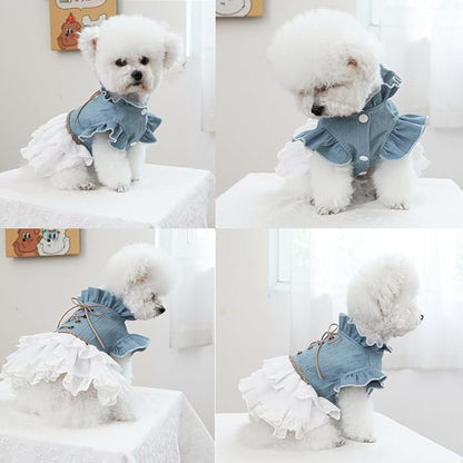 Girl Dog Denim Dress with Flared Sleeves Dog Jeans Jacket Blue White Puppy Clothes for Small Dogs Cat Apparel Cake Skirt Pet Outfit (Blue, Large)