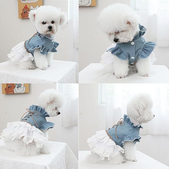 Girl Dog Denim Dress with Flared Sleeves Dog Jeans Jacket Blue White Puppy Clothes for Small Dogs Cat Apparel Cake Skirt Pet Outfit (Blue, Small)