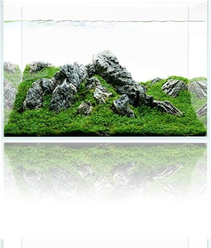 Fzone 10 Gal Rimless Low Iron Fish Tank Nova Clear Ultra-White 45° Mitered Edges Translucent Glass Anata Series Aquarium w/Black Foam Leveling Mat(S45-W30)