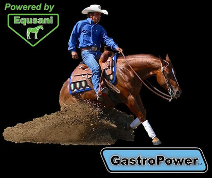 GastroPower Digestible Free Fatty Acid Feed Concentrate for Horses