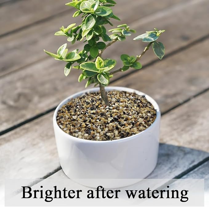 10 lbs Aquarium Sand, 1/16 Inch Fish Tank Gravel. Decorative Coarse Sand Pea Gravel for Aquarium Substrate, Terrariums, Vase, Plant, Soil Cover and Outdoor Landscaping Small River Rocks