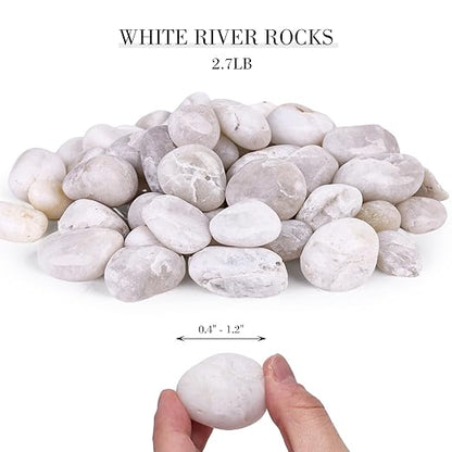 DomeStar 2.7lb White River Rocks, Polished Pebbles Decorative White Stones for Landscaping Vase Filler Fish Tank Aquariums Garden Outdoor and Indoor DIY