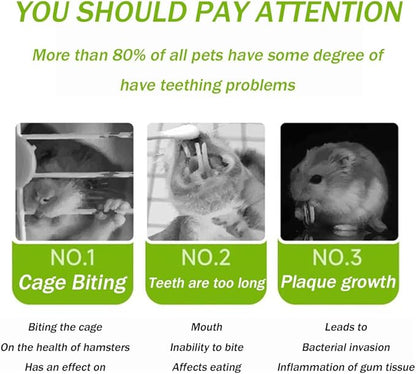 400g 5 Guinea Pig Toys Apple Sticks, Tissimo Grass Sticks, Sweet Bamboo, Papaya Stems, Carrot Sticks Pertain Chinchilla Squirrel Gerbil Hamster Squirrel Guinea Pigs