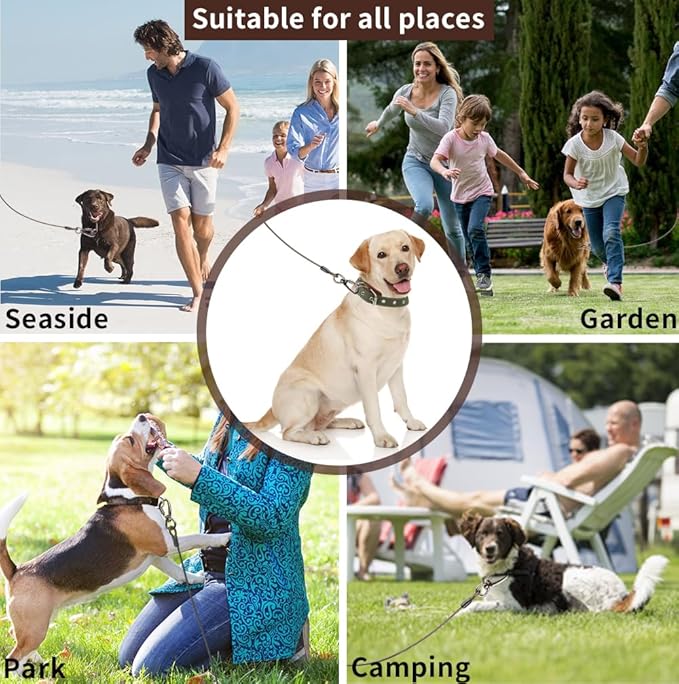 Dog tie Out Cable, 10/20/25/30/50/70/100 feet, Suitable for Dogs up to 350 pounds, Dog Cable with Swivel Buckle, Lightweight, Non-Winding, for Outdoor Camping, Yard Dog Cable (Black, 50FT)