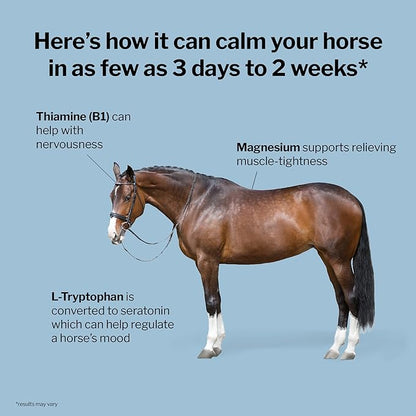 Formula 707 Calming Equine Supplement, Daily Fresh Packs – Anxiety Relief and Enhanced Focus for Horses – L-Tryptophan, Thiamine & Magnesium