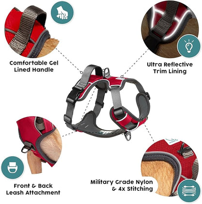 Embark Adventure Dog Harness, Reflective Trim No Pull Dog Harnesses for Small Sized Dogs - Military Grade Nylon, Front Clip with Gel Lined Handle.