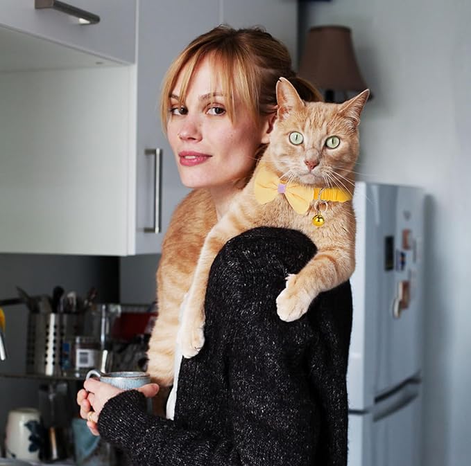 16 PCS Cute Cat Collars Breakaway with Bell for Boy Cats and Girl Cats Gifts (#5-Multicolor Plaid)