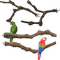 Allazone 4-Piece Bird Perch - Natural Grapevine Stick Swing Chewing Toys for Parrot Cages, Cockatiels, Parakeets, Finches