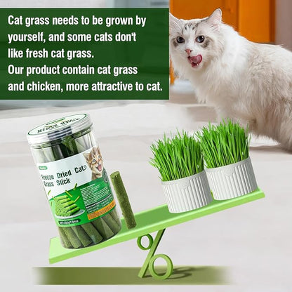225g Cat Grass Teething Stick, Delicious Cat Treat Snack Edible Cat Chew Toy for Teeth Cleaning and Hairball Removal in Cats