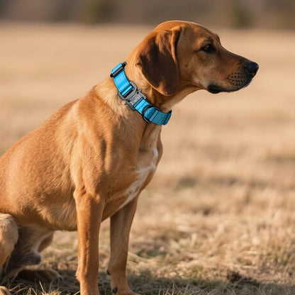 AirTag Dog Collar - Leather Dog Collar with Airtag Holder | IP68 Waterproof AirTag Holder with Metal Buckle, Comfortable GPS Dog Collars Tracker for Medium Large Dogs (Blue, L)