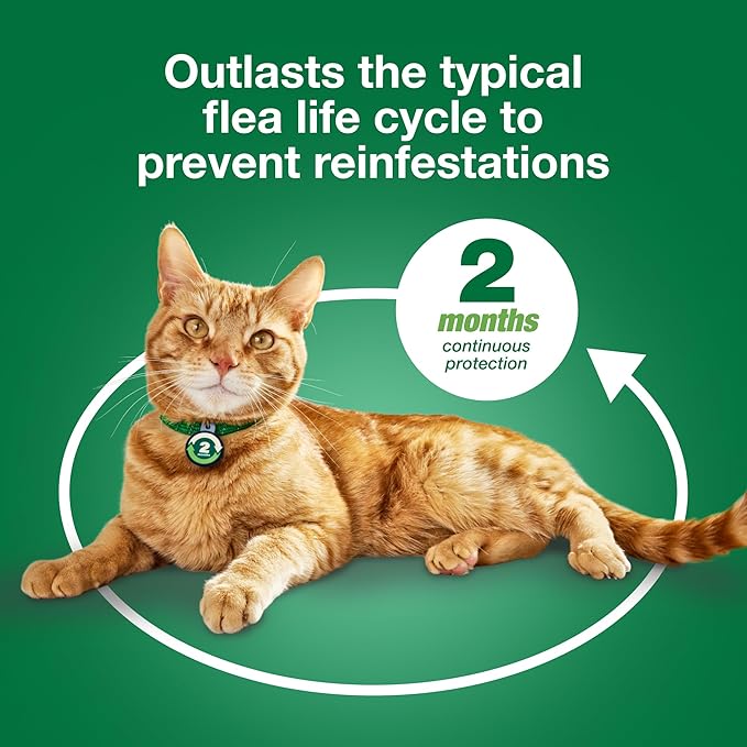 Advantage XD Large Cat Flea Prevention & Treatment For Cats over 9lbs. | 2-Topical Doses, 2-Months of Protection Per Dose