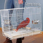 Durable Easy Portable Metal Travel or Veterinary Collapsable Parrot Bird Carrier Beaks Proof Cage with Stainless Steel Feeder Bowls Natural Wooden Perch Stand