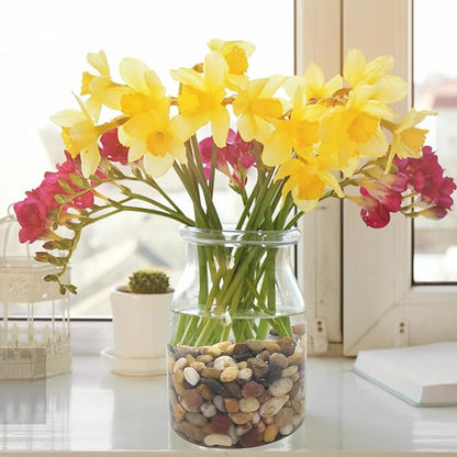 2 Pounds Pebbles for Plants, 3/8 Inch Polished Pea Gravel. Decorative Stones River Rocks for Succulent Soil Cover, Cactus, Aquarium, Vase and Outdoor Garden Landscaping