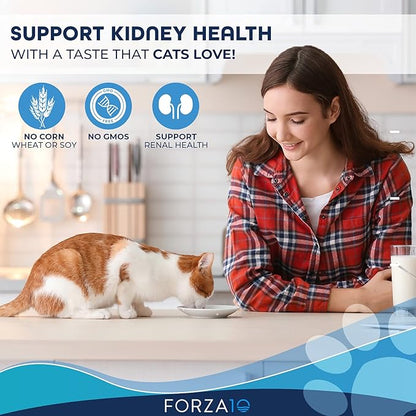 Forza10 Kidney Care Cat Food – Renal Support Wet Cat Food with Lamb, 3.5 oz Cans, 12 Pack – Vet Formulated, Made in Italy