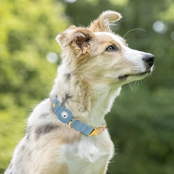 AirTag Dog Collar for Small Medium Large Breed - Adjustable Cute Pattern Dog Collar with Airtag Holder - Soft Leather Tracker GPS Apple Air Tag Pet Collars (Large, 17"-21" Neck Fit, Floral)