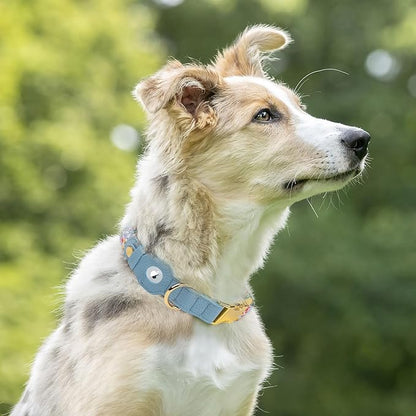 AirTag Dog Collar for Small Medium Large Breed - Adjustable Cute Pattern Dog Collar with Airtag Holder and Metal Buckle - Soft Leather Tracker GPS Apple Air Tag Pet Collars for Puppy Girl Boy Female