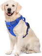 Funfox Dog Harness No Pull, Adjustable Pet Vest Harness, Super Soft Material with Vertical Handle Easy Control, Reflective Night Walking, 2 Leash Clips for Large Dogs, Blue, L