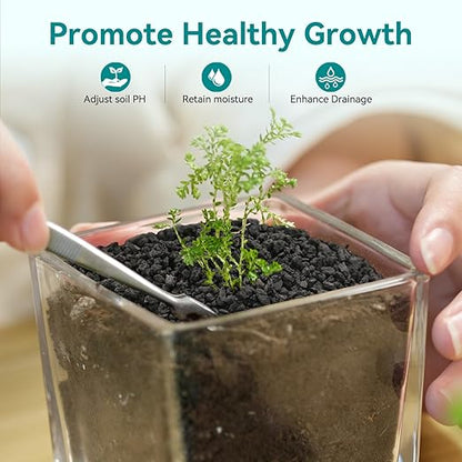 5lbs Small Lava Rocks for Plants Drainage, 1/5 Inch Black Gravel Mulch for House Plants, Succulent Rocks Pebbles for Planters,Cactus, Bonsai Tree, Pure Volcanic Rocks, Top-Dressing