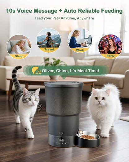 Gimars 5L/20 Cups Automatic Cat Feeder, Programmable 1-6 Meals Cat Food Dispenser with Stainless Steel Bowl, Easy Setup, Dual Power Supply,10s Meal Call Timed Pet Feeder for Cats and Small Dogs