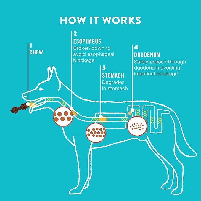 4-5" Collagen Bones, Bully - Collagen Dog Bones - Long Lasting Healthy Joint Support Dog Treat - Rawhide Alternative - Skin & Coat Health, 1 Bag, 4 Count