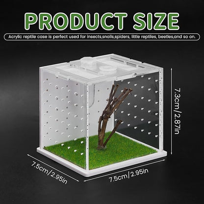 Acrylic Jumping Spider Enclosure, 2.95×2.95×2.87in Transparent Reptile Terrarium, Versatile Tarantula Enclosure for Small Reptiles/Insects, Small Reptile Tank with Dropper, Jumping Spider Accessories