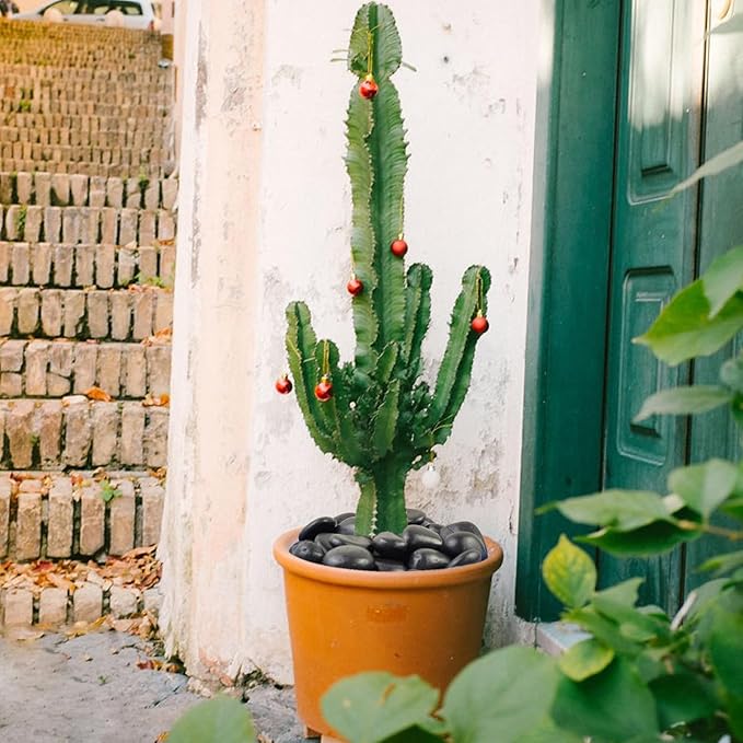 40 lbs Black River Rocks for Landscaping, 2-3 inch Pebbles for Indoor Plants, Large Decorative Stones for Planters Aquarium Fish Tank and Garden Rocks