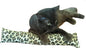 Extra Large 18" Catnip Kicker Toys/Kitty Kick Sticks/Cat-Nip Kick Sticks (Leopard) (Kickers Filled with 1 oz Premium Canadian Catnip)