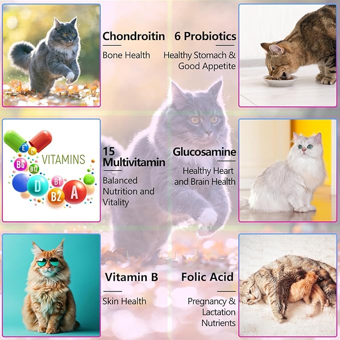 15-in-1 Multivitamin Drops for Cats - Immune Support, Skin & Coat Health, Digestion, Joint Care - with Vitamins A, B, C, D, E - Liquid Supplement for All Life Stages, 2 fl.oz/60ml, 2 Pack