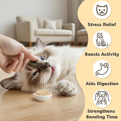 80PCS Catnip - Cat Nip for Cats Natural Dried Catnip Treats Premium Cat Nip Perfect for Toys, Training Rewards, Stress Relief, Freshly Harvested Bag Bulk Pack,2.8OZ