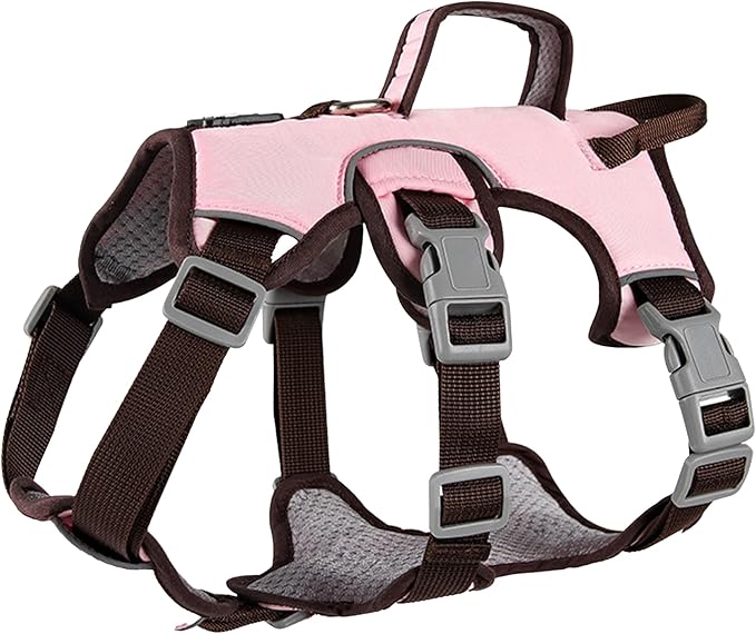 Escape Proof Dog Harness, No Pull Reflective Adjustable Vest with Easy Control Lift Handle, No Choke Soft Padded Breathable Full Body Pet Harness for Walking Hiking and Training (Pink, Small)