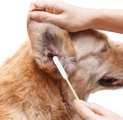 Dog Q Tips, Qtips Cotton Swabs for Dogs, 6-Inch Long Ear Cleaning Swabs, Wound Care, 800 Count, Eco-Friendly Bamboo Cotton, Pet Ear Care