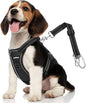 Dog Seat Belt Harness for Car, Dog Car Harness Adjustable Mesh Breathable & Dogs Seatbelt Safety Tether with Elastic Bungee for Small Medium Large Pets(Carbon Black, S)