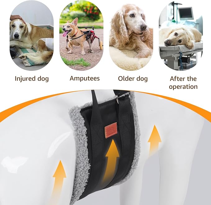Adjustable Dog Lift Harness, Dog Sling for Large Dogs Hind Leg Support, Soft Lift Support Helps Senior, Injured, Disabled and After ACL Surgery Dogs-Black & Grey (Large)