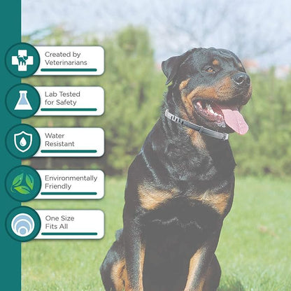 Flea and Tick Collar for Small Dog, Made with Natural Plant Based Essential Oil, Safe and Waterproof, Free Comb and Prevention Treatment Drop, 2x6 Month, 13.8 in (2 Packs)