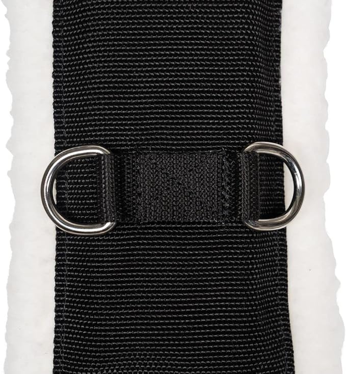 Dura-Tech Fleece Lined Training Surcingle for Horses | Essential for Lunging Work | Comfortable Fleece Lining | Durable Poly Material | Versatile D-Ring Placement | Suitable for All Training Levels