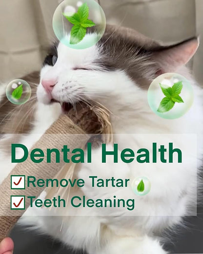 14.96 Inches Huge Silvervine Sticks Cat Toys, Large Natural Catnip Kittens Chew Toy for Teeth Cleaning,Big Catmint Blend Stick, Dental Kitty Chews for Indoor(2 Pack)