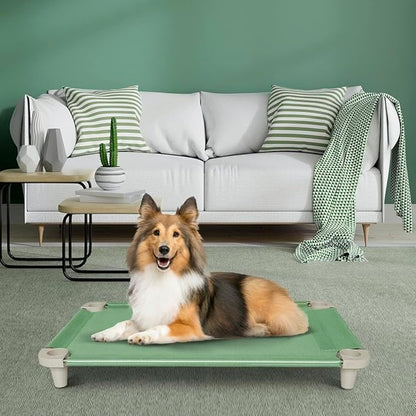 Acrimet Cooling Elevated Pet Dog Bed, Washable and Breathable Mesh Cot, Stainless Steel Frame, Indoor & Outdoor Use, fits Dogs up to 110 lbs (Size: 40” x 24”), Green, 1 Unit