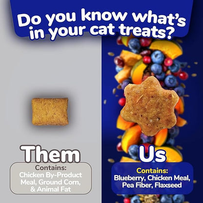 Fruitables Crunchy Low Calorie Treats Packed with Protein For Cats Healthy Free of Wheat, Corn and Soy – Made with Real Chicken with Blueberry – 2.5 Ounces