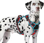 Eagloo Dog Harness for Large Dogs, Easy Wearing with 3 Buckles, Adjustable No Pull Pet Harness with 2 Rings for Walking, No Chock Reflective Soft Padded Vest with Control Handle, Red & Teal, XL